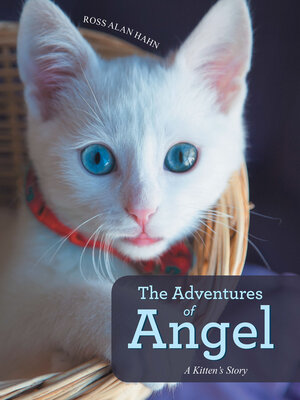 cover image of The Adventures of Angel